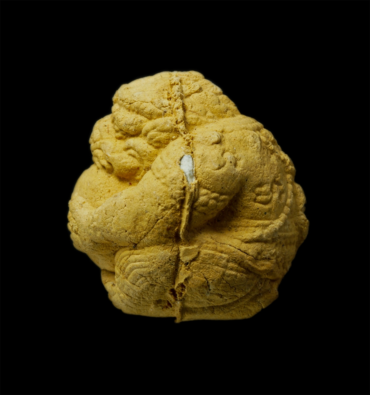 12May25 (10)p.jpg - ลูกอมหนุมานแผลงฤทธิ์ เนื้อผงรายกุมาร หลวงพ่อสาคร ปี2550 วัดหนองกรับ อ.บ้านค่าย จ.ระยอง พระครูมนูญธรรมวัตร (หลวงพ่อสาคร มนุญโญ) เกจิชื่อดังเมืองระยองศิ [..] | https://kamulet.in.th